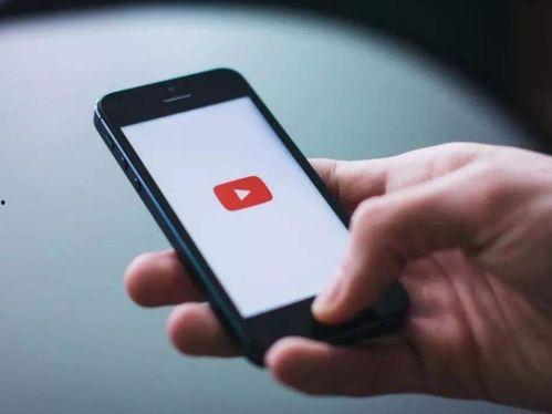 国产茅片视频网站在线,畅享海量优质影视资源，打造专属观影体验