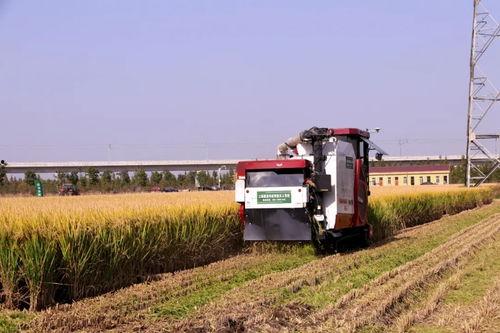 国产无人农场视频网站,国产无人农场技术革新之旅