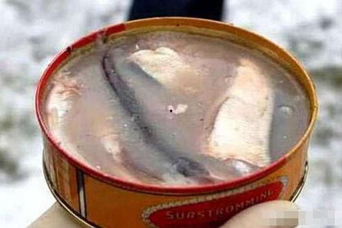 吃国产鲱鱼罐头挑战视频,味蕾与勇气的双重考验！