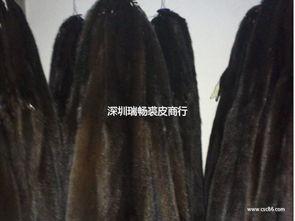 国产水貂皮视频介绍,奢华品质，匠心独运