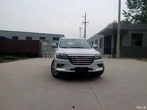 h2国产街跑视频,H2视频展现速度与激情