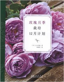 国产玫瑰花种植视频播放,视频带你领略田园风情与种植技巧