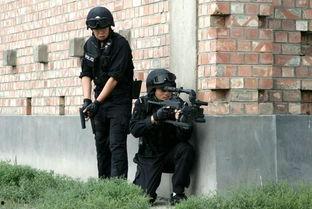 国产拐弯枪视频,创新设计引领战术革新