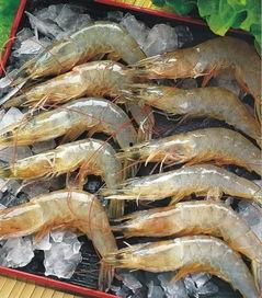 国产青虾请放心吃吗视频,放心享用，安心品尝