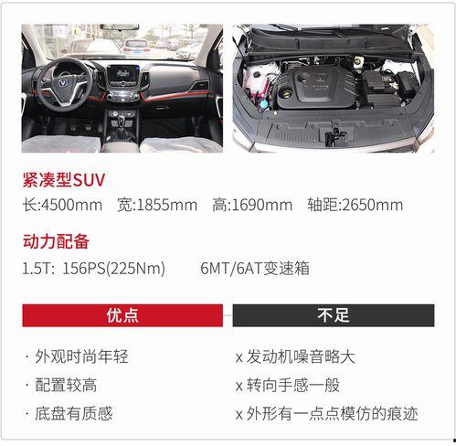 国产车颠簸实验视频,品质与舒适度的真实较量