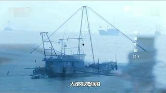 国产小短剧出海视频大全,盘点热门出海视频大全