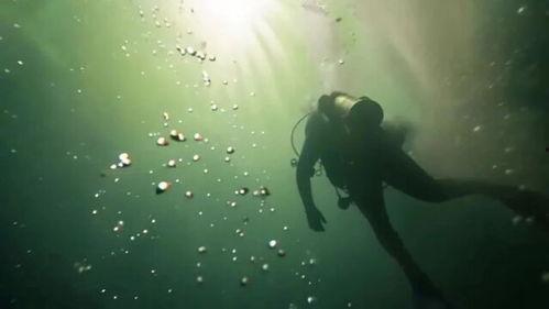 国产小短剧出海视频大全,盘点热门出海视频大全