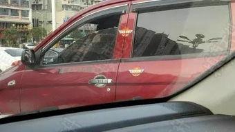 国产神车成名视频在线观看,一部视频见证传奇崛起