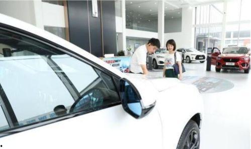 奔驰女车主提国产车视频