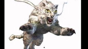 国产白虎拼装模型视频大全,领略匠心独运的模型艺术风采