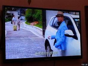 国产虎视频,探索中国原创短视频的魅力