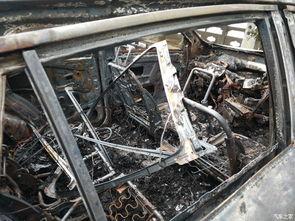 开国产车失火视频真实