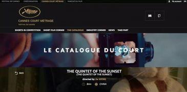 久久天天拍拍视频国产,久久天天拍拍视频，引领国产短视频新潮流