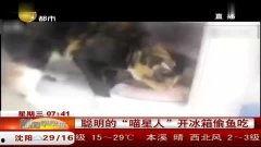 国产短视频鼻祖偷盗,偷盗背后的创新与争议