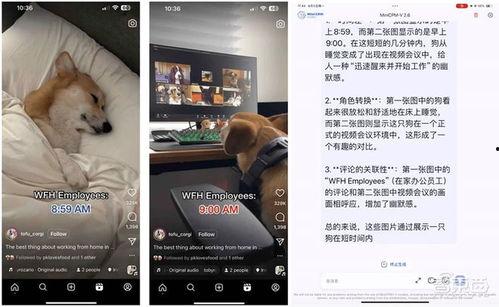 在线国产视频实拍,捕捉生活瞬间，展现真实风采  第2张